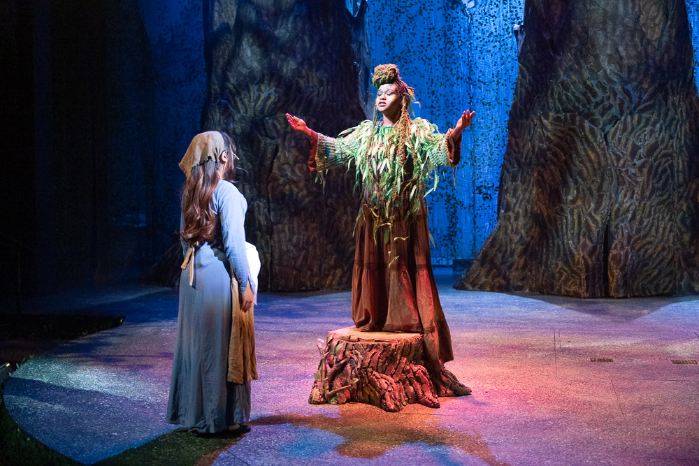 CSU Theatre students perform in the musical, Into the Woods